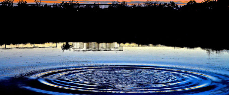 P-Clinical-care-concentric-ripples-on-a-pond